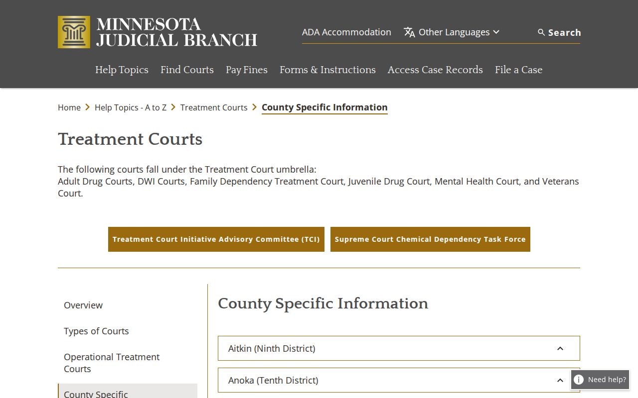 Koochiching County criminal court docket treatment court source
